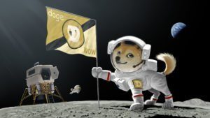 doge-coin