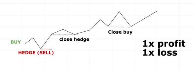 hedging example 3